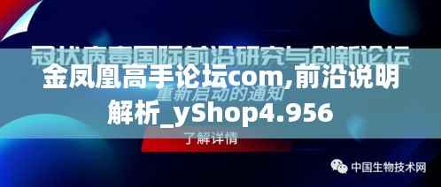 金凤凰高手论坛com,前沿说明解析_yShop4.956