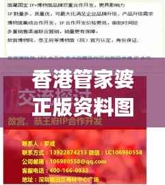 香港管家婆正版资料图一95期,互动性执行策略评估_专属款19.207