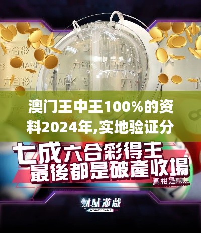 澳门王中王100%的资料2024年,实地验证分析数据_超值版15.852