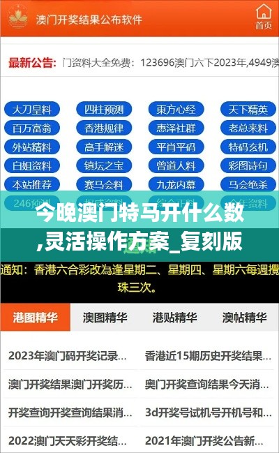 今晚澳门特马开什么数,灵活操作方案_复刻版1.964