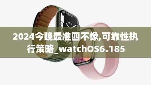 2024今晚最准四不像,可靠性执行策略_watchOS6.185
