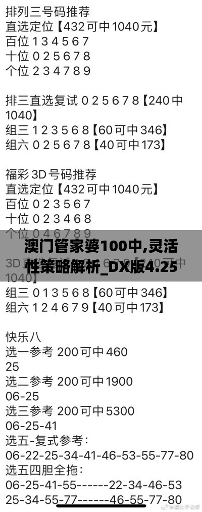 澳门管家婆100中,灵活性策略解析_DX版4.256
