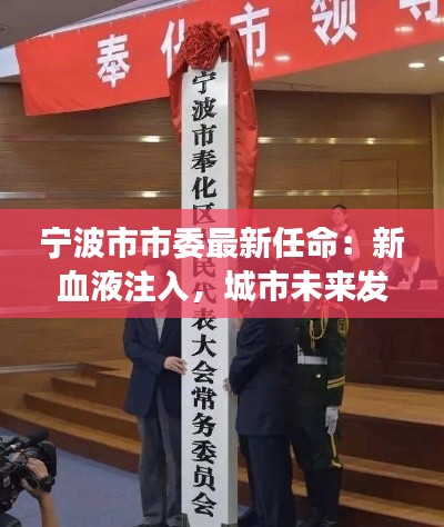 宁波市市委最新任命:新血液注入,城市未来发展添活力