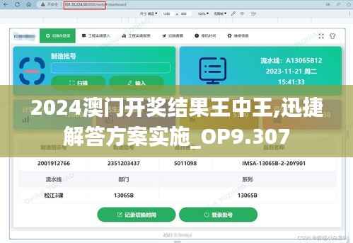 2024澳门开奖结果王中王,迅捷解答方案实施_OP9.307