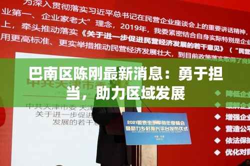 巴南区陈刚最新消息:勇于担当,助力区域发展