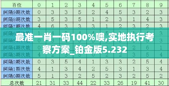 最准一肖一码100%噢,实地执行考察方案_铂金版5.232
