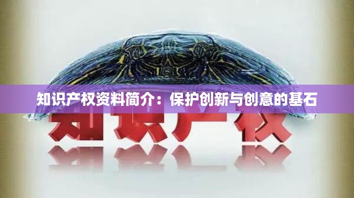 知识产权资料简介:保护创新与创意的基石