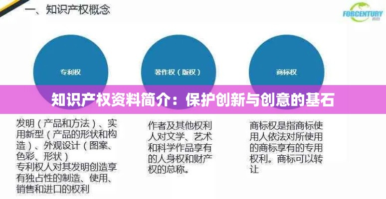 知识产权资料简介:保护创新与创意的基石