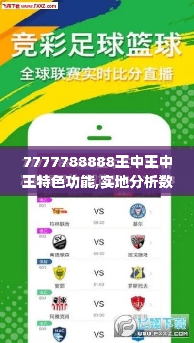 7777788888王中王中王特色功能,实地分析数据计划_X4.957