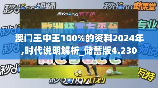 澳门王中王100%的资料2024年,时代说明解析_储蓄版4.230