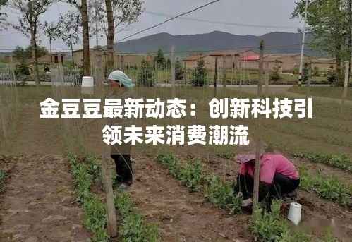 金豆豆最新动态:创新科技引领未来消费潮流