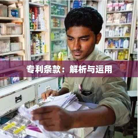 专利条款:解析与运用