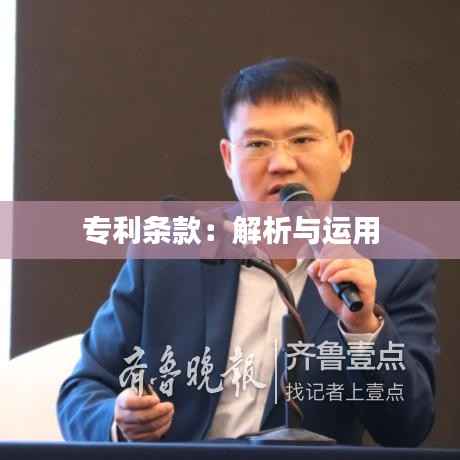 专利条款:解析与运用