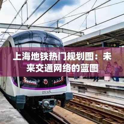 上海地铁热门规划图：未来交通网络的蓝图