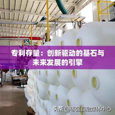 专利存量:创新驱动的基石与未来发展的引擎