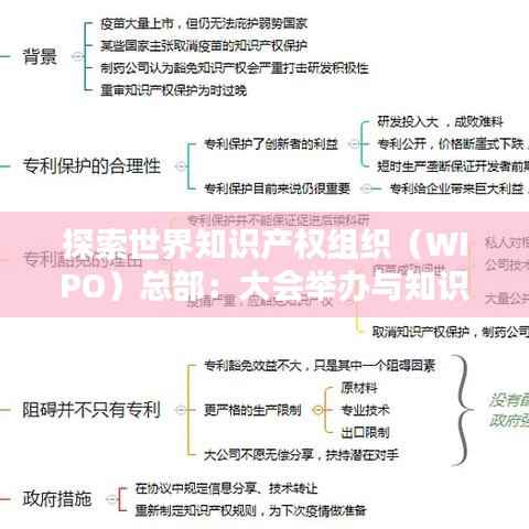 探索世界知识产权组织(WIPO)总部:大会举办与知识产权保护