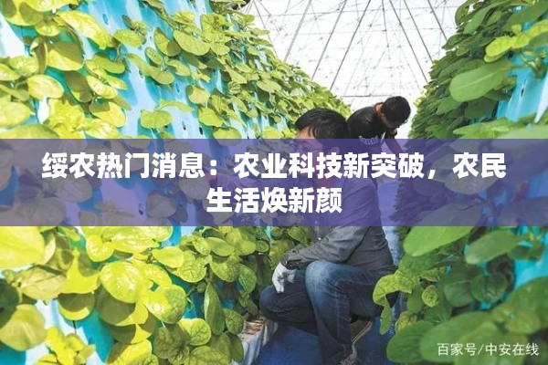 绥农热门消息:农业科技新突破,农民生活焕新颜