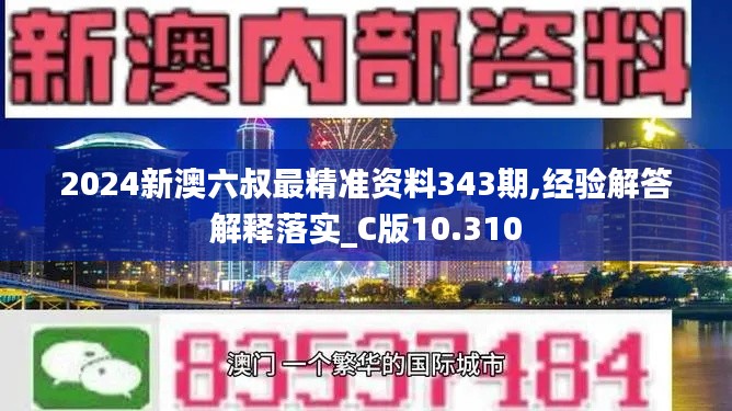 2024新澳六叔最精准资料343期,经验解答解释落实_C版10.310