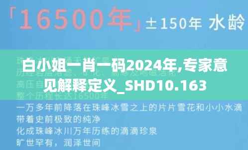 白小姐一肖一码2024年,专家意见解释定义_SHD10.163