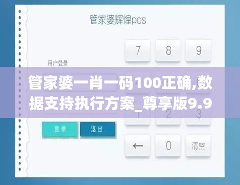 管家婆一肖一码100正确,数据支持执行方案_尊享版9.997