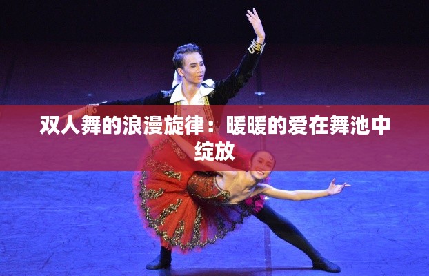 双人舞的浪漫旋律:暖暖的爱在舞池中绽放