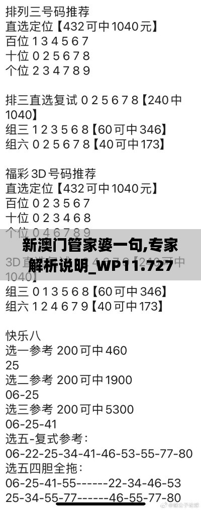 新澳门管家婆一句,专家解析说明_WP11.727