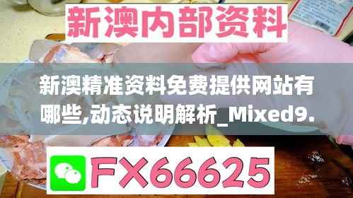 新澳精准资料免费提供网站有哪些,动态说明解析_Mixed9.677