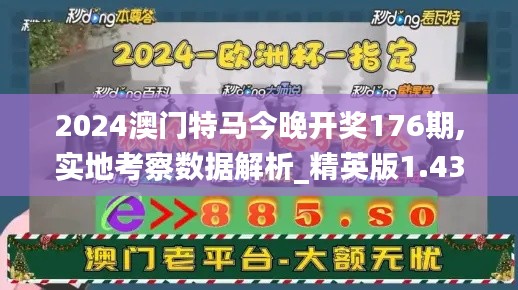 2024澳门特马今晚开奖176期,实地考察数据解析_精英版1.438