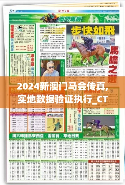 2024新澳门马会传真,实地数据验证执行_CT5.476