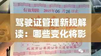 蝇声蛙噪 第4页