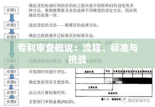 专利审查概说:流程、标准与挑战