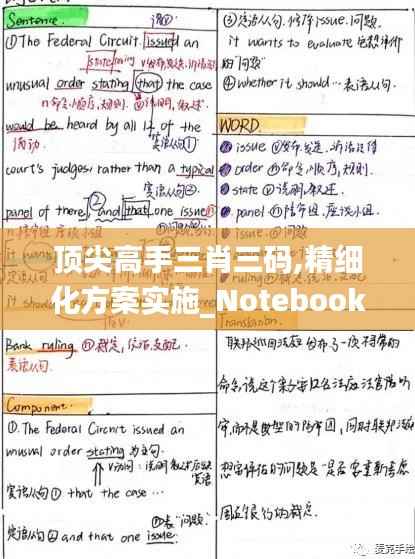 顶尖高手三肖三码,精细化方案实施_Notebook2.246