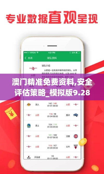 澳门精准免费资料,安全评估策略_模拟版9.288