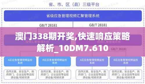 澳门338期开奖,快速响应策略解析_10DM7.610