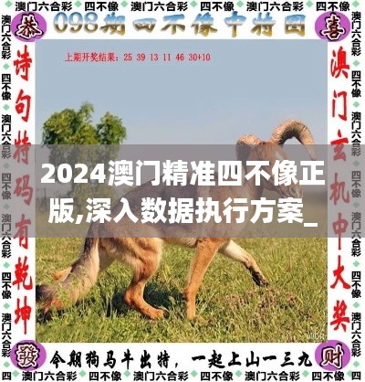 2024澳门精准四不像正版,深入数据执行方案_XT6.254