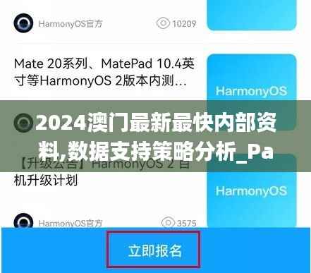 2024澳门最新最快内部资料,数据支持策略分析_PalmOS2.541