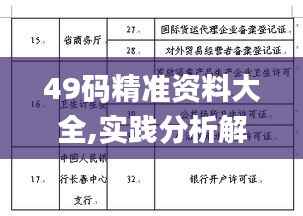 49码精准资料大全,实践分析解释定义_专属款10.591