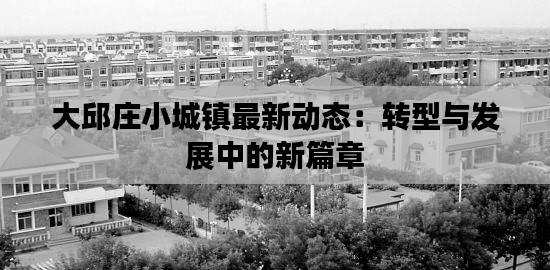 大邱庄小城镇最新动态:转型与发展中的新篇章