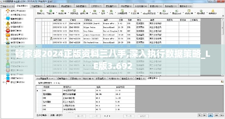 管家婆2024正版资料三八手,深入执行数据策略_LE版3.692