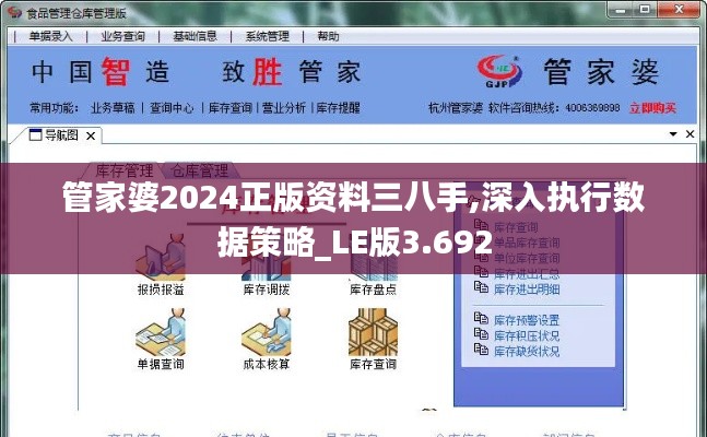 管家婆2024正版资料三八手,深入执行数据策略_LE版3.692
