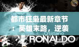 都市狂枭最新章节:英雄末路,逆袭归来