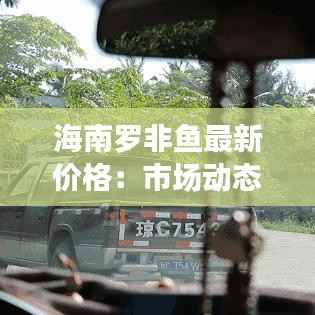 海南罗非鱼最新价格:市场动态与消费趋势分析