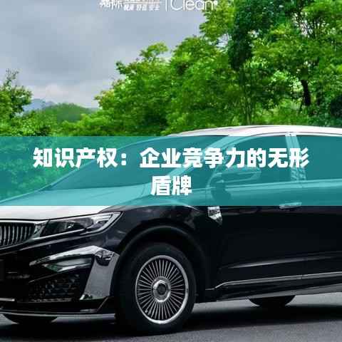 知识产权:企业竞争力的无形盾牌