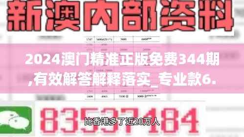 2024澳门精准正版免费344期,有效解答解释落实_专业款6.714