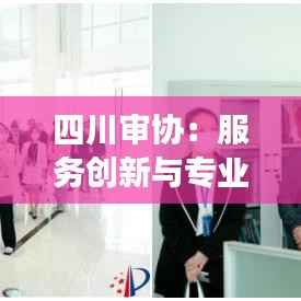 四川审协:服务创新与专业发展的典范
