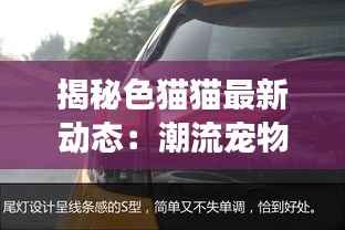 揭秘色猫猫最新动态:潮流宠物界的明星猫来袭!