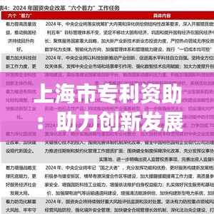 上海市专利资助:助力创新发展的关键举措