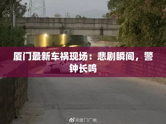 厦门最新车祸现场:悲剧瞬间,警钟长鸣