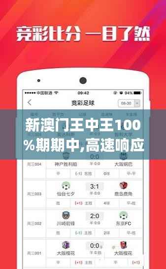 新澳门王中王100%期期中,高速响应设计策略_XP10.806