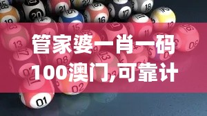 管家婆一肖一码100澳门,可靠计划执行策略_Prime10.874